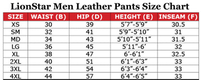 Lionstar Dashing Men Leather Jacket and Pant Set